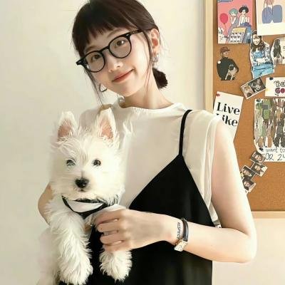 大谎言家2